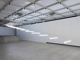 Light Steps